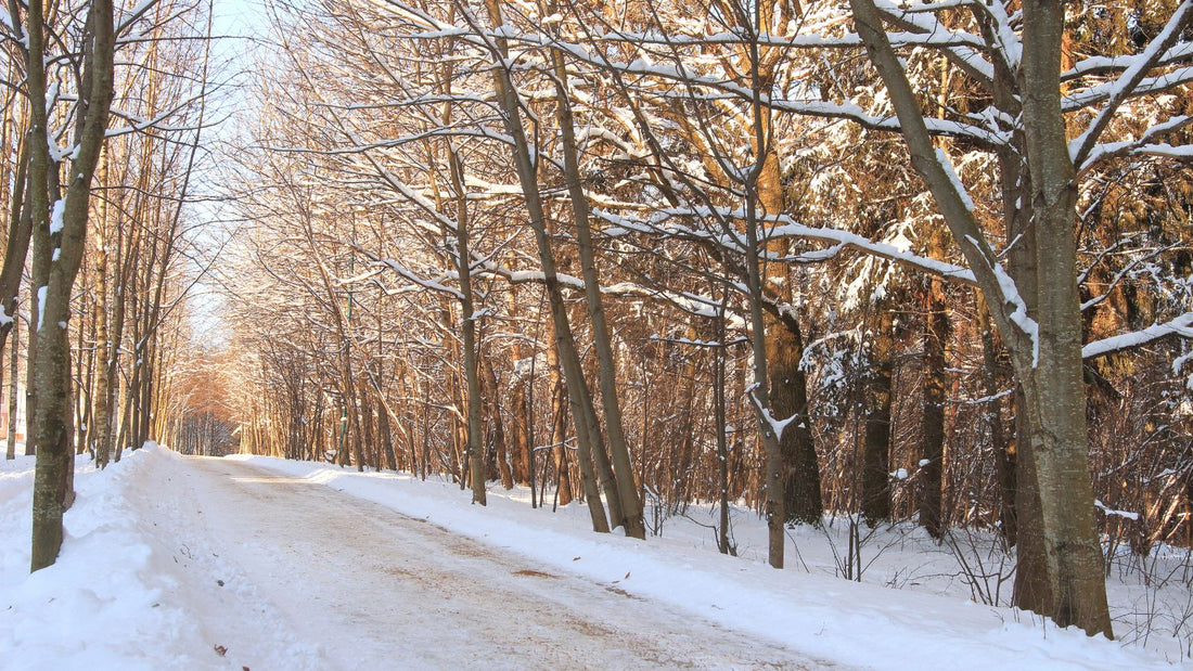 Janvier : l’hiver commence vraiment